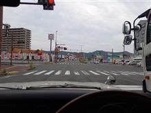 朝の散歩。