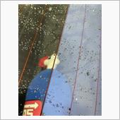 雨漏り