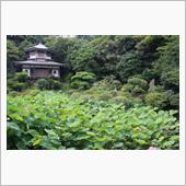 鎌倉～三浦
