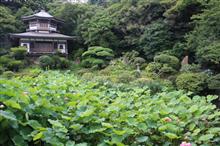 鎌倉～三浦