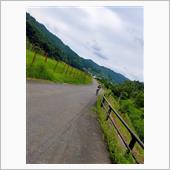 サイクリングへ