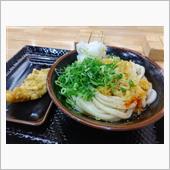 うどーーん♪ 冷ぶっかけ♪