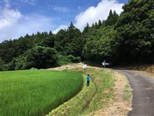 オニヤンマ捕獲対決⁉️+魚探し🐟