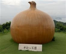 淡路島に、おっ玉葱を見に行く