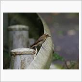 意外な収穫があった