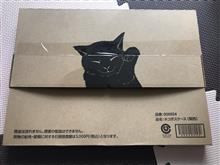 届いた！