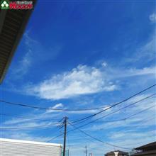 飲食店さんで人気！　なぜか、キャバクラ店舗さんからのご注文！