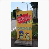 ☀️晴れたのでお山を散歩🎶