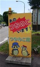 ☀️晴れたのでお山を散歩🎶
