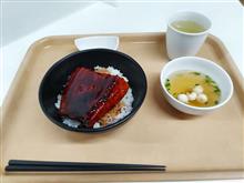 今日は『土用の丑の日』ナンデス。