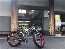 自転車で実家に帰ったよ