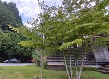 たまには乗ってあげないと・・・