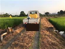 仕事です。