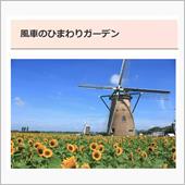 ひまわり