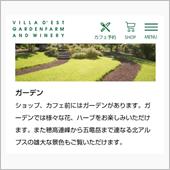 昨日のランチと朝シャン♪