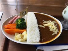 ダムカレー　キター