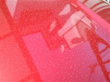 久しぶりの洗車