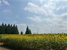 毎週毎週見に行きましたからね 毎週毎週見に行きましたからね