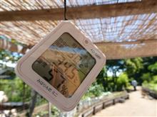 トンボとり大作戦 参加10回目 兎に角あちぃ～。