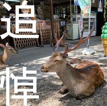 ★弾丸追悼ツアー 