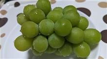 今シーズン初♪ 今シーズン初♪