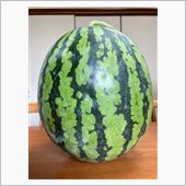 妻の実家から🍉をいただきま ...