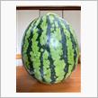 妻の実家から🍉をいただきました😋