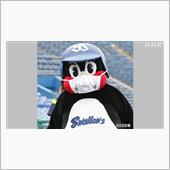 畜生ペンギンも新型コロナ感染 ...