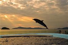 夕焼けのイルカショー・四国水族館