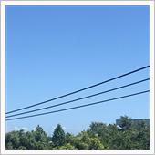 暑いので手軽なブツを下さーい ...