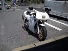 連日うだるような暑さです(-_-;)