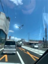 飛び石被害