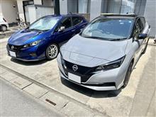 白黒リーフ点検 白黒リーフ点検
