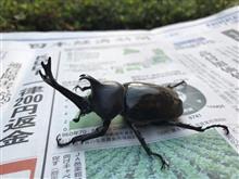 リハビリ～動けるって幸せ♪