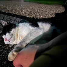 もー割れた｡｡｡