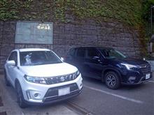 1匹足らずでしたが。。。