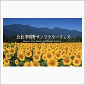 ひまわり…