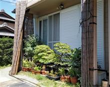 ヨシズで遮光 ヨシズで遮光