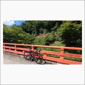 芹生峠DNF