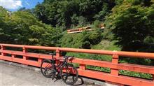 芹生峠DNF
