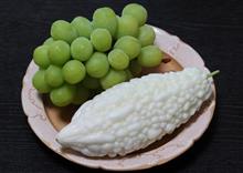 2022/8/2　大好物と・・・