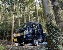 ぼっちの森キャンプ場 ぼっちの森キャンプ場