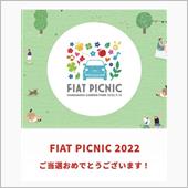FIAT PICNIC 20 ...