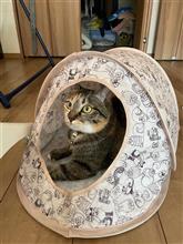 サーベル