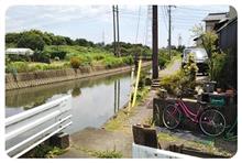 僕の夏休み。