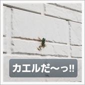 220804-3　スナイパー ...