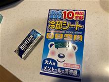 もしかして❓