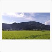 この昼間の暑い中、平尾台ヒル ...