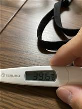 コロナに感染するの巻 コロナに感染するの巻