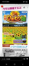 大垣ひまわり🌻調査